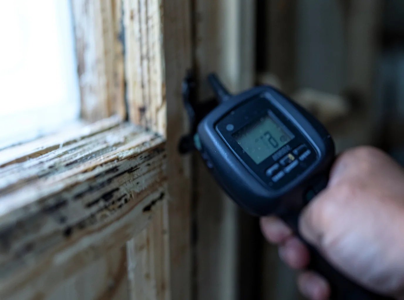 Moisture Inspection And Documentation in Emerson, KY
